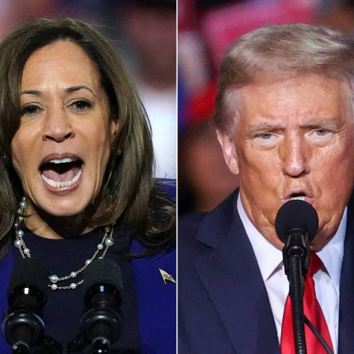 Elecciones EE.UU. 2024: Trump y Harris cerraron sus campañas empatados en las encuestas