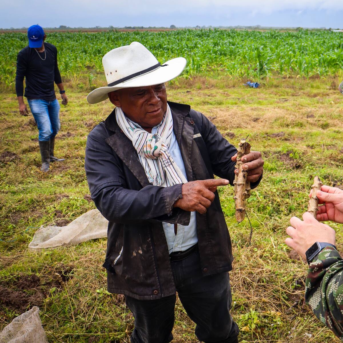 Ejército y víctimas del conflicto transforman predio de la SAE en agroemprendimiento