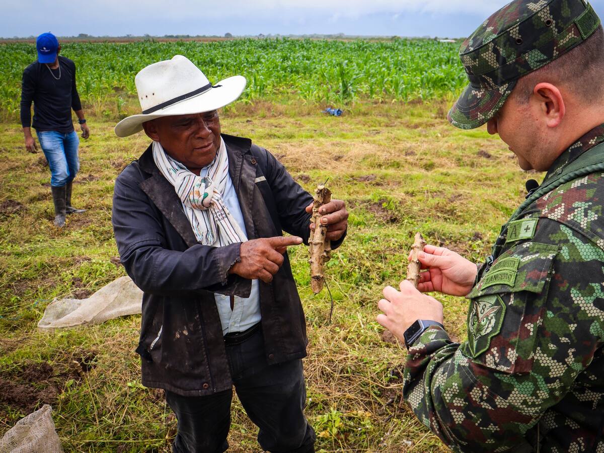 Ejército y víctimas del conflicto transforman predio de la SAE en agroemprendimiento