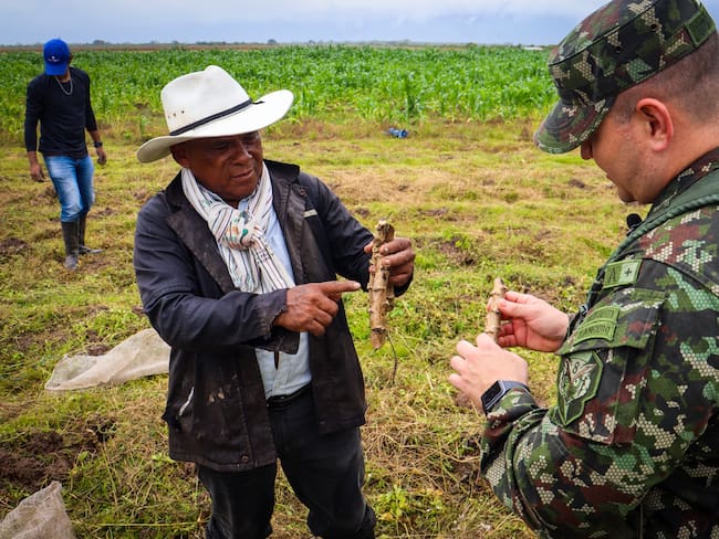 Cortesía: Ejército Nacional.