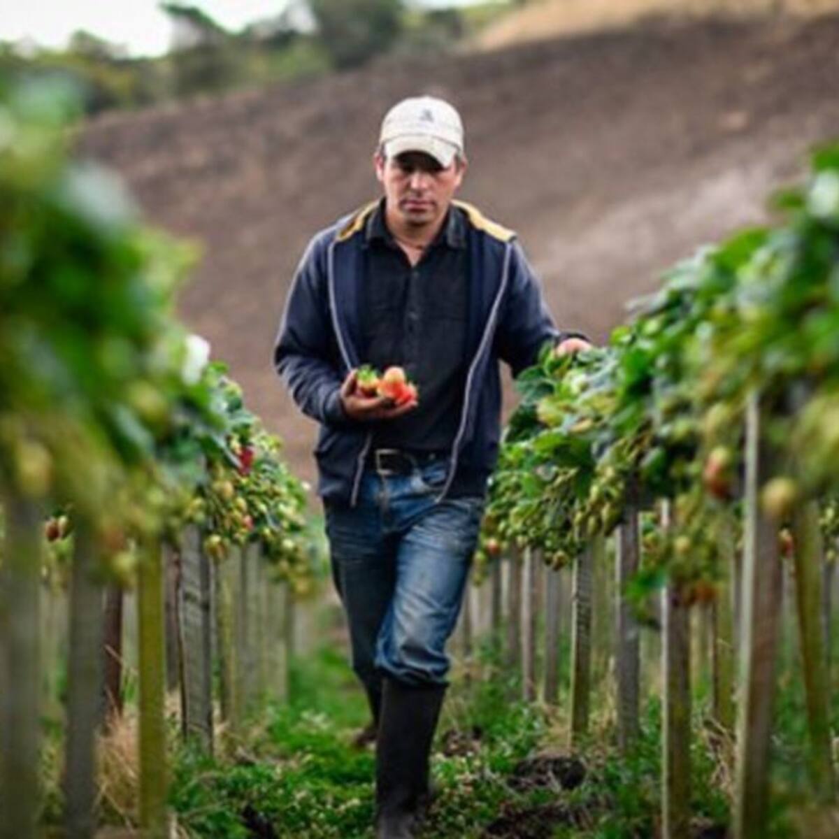 Dignidad Agropecuaria pide al Gobierno Nacional congelación de créditos