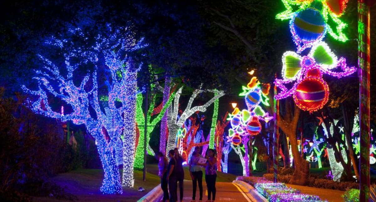 Árboles humanos, en los ríos y las ciudades más emblemáticas del mundo inundadas de luces y de la magia de la navidad. / República Dominicana.