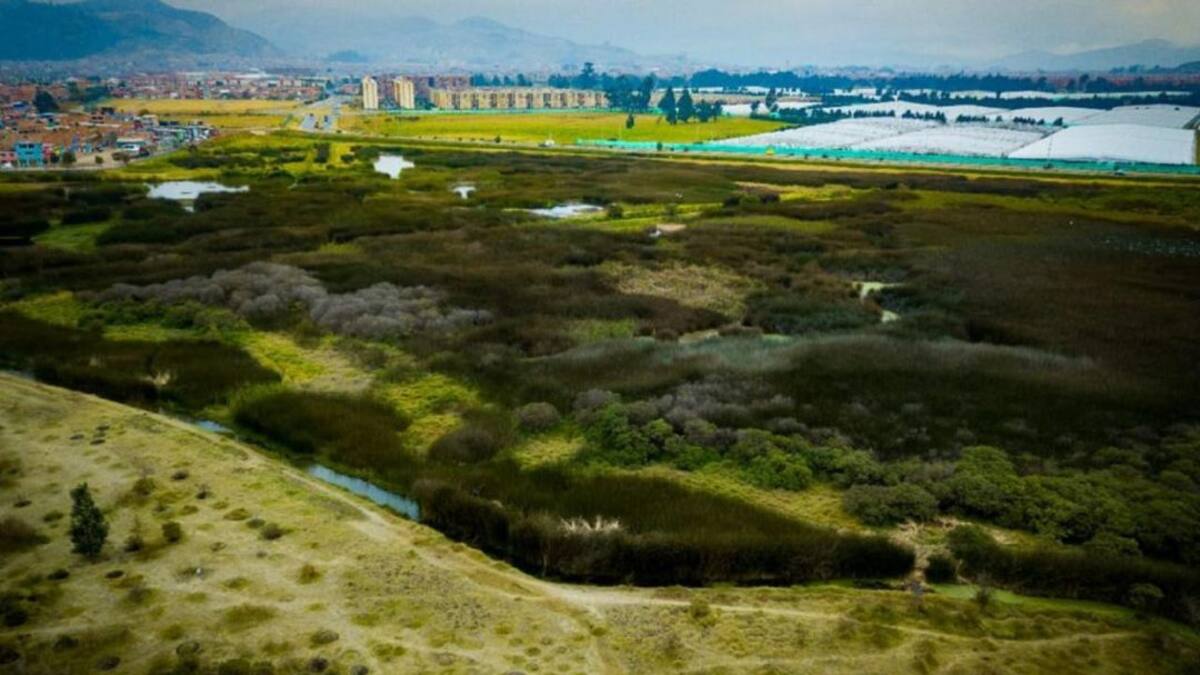 Fueron intervenidos 10 parques en la localidad de Bosa