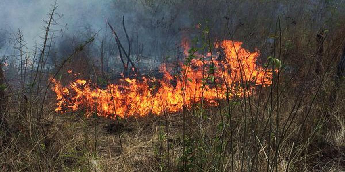Incendios Forestales en Neiva