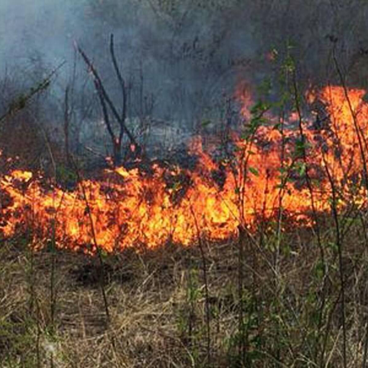 Neiva combate múltiples incendios forestales