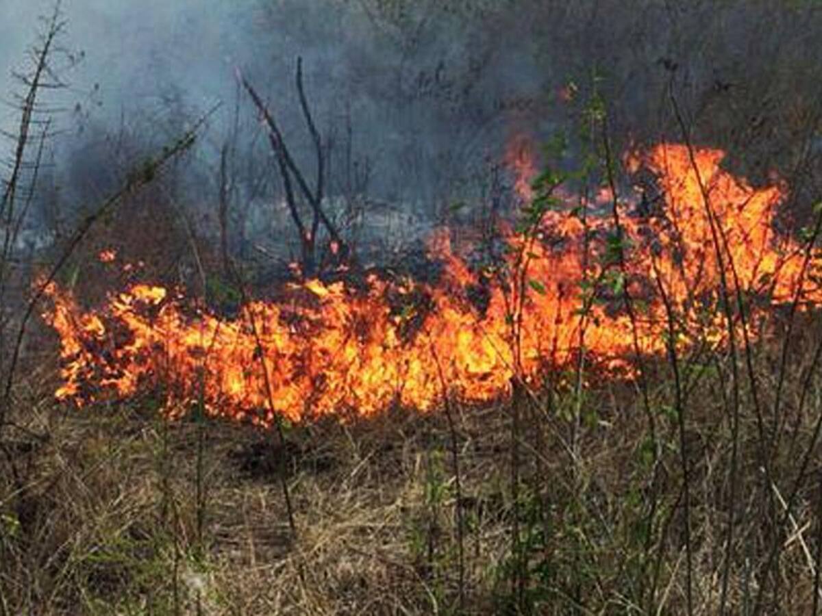 Neiva combate múltiples incendios forestales