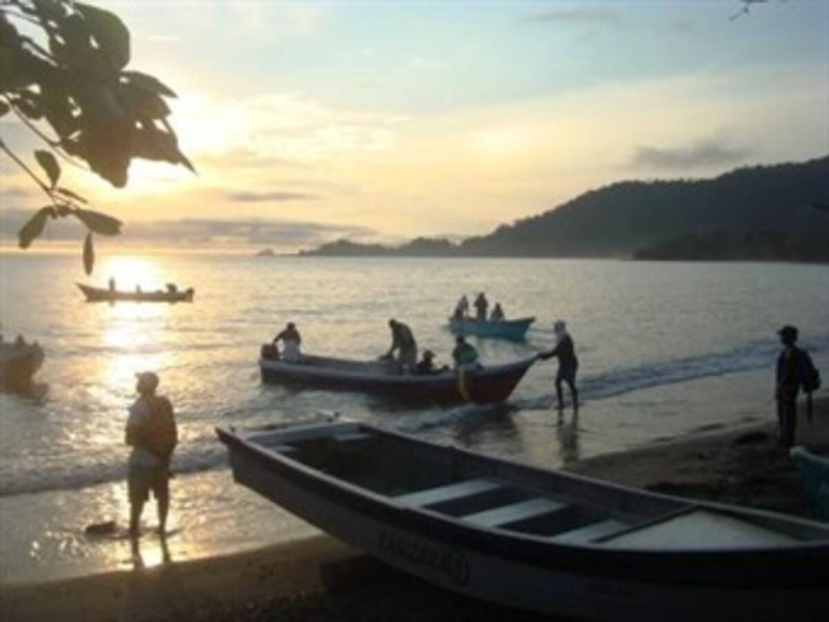 Asociación Guardagolfos, de Urabá, gana el premio emprender paz