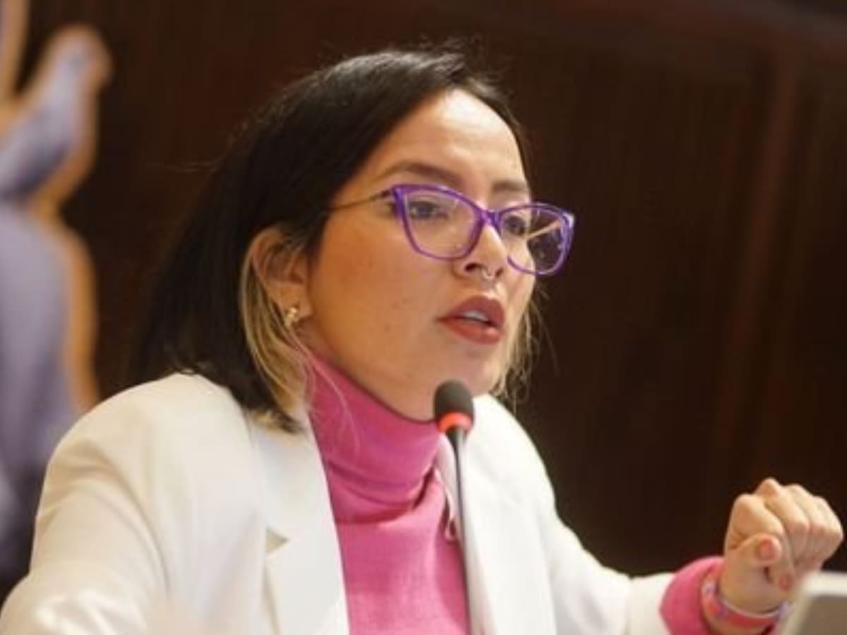 Educación en riesgo tras aprobación del proyecto de ley estatutaria: Jennifer Pedraza
