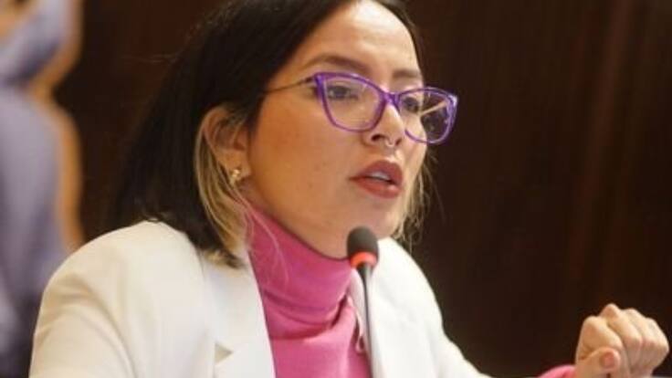 Educación en riesgo tras aprobación del proyecto de ley estatutaria: Jennifer Pedraza