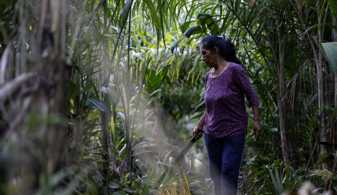 Colprensa - Sergio Acero