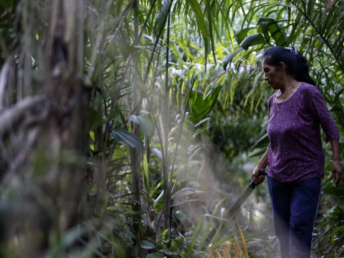 Existe voluntad para avanzar en beneficio de las mujeres: Gobierno nacional