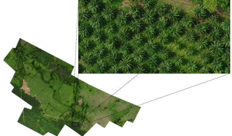 Imágenes tomadas con drones por Fly North S.A.S