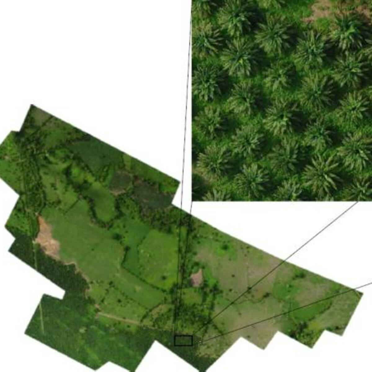 Los drones y la agricultura de precisión, una moda en el campo