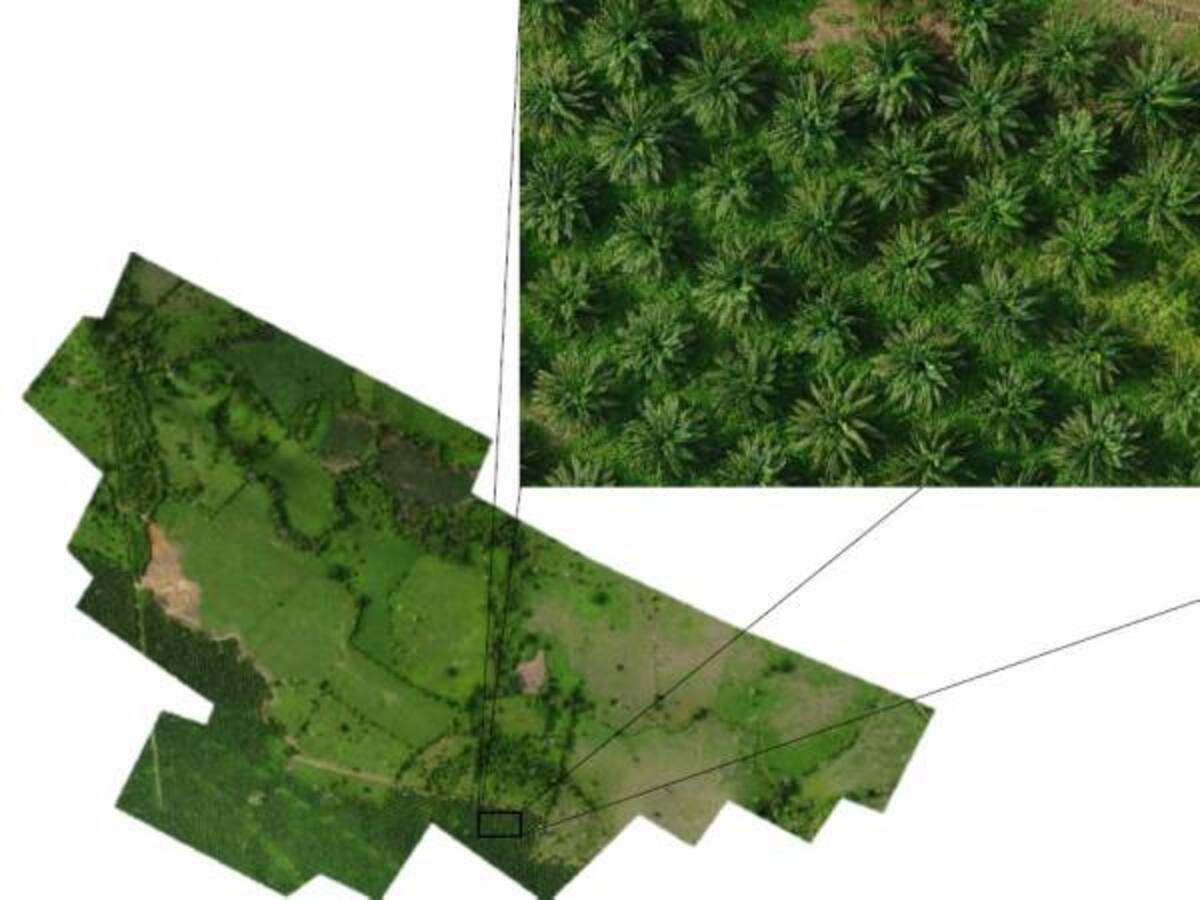 Los drones y la agricultura de precisión, una moda en el campo