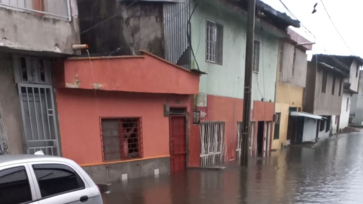 Informe barrio Cincuentenario de Armenia