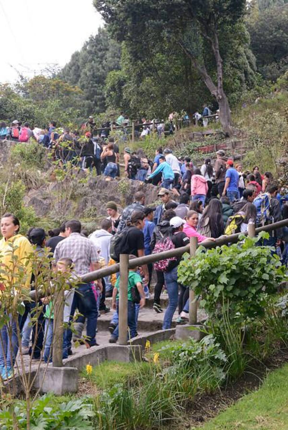 Se han registrado miles de visitantes, un promedio de 3.000 personas por hora, es decir unos 50 personas por minuto. Se espera que el total de las visitas sea alrededor de 65.000.