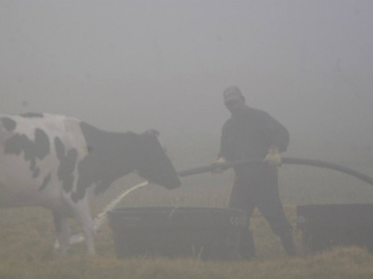 Volvieron a intensificarse las heladas en Boyacá