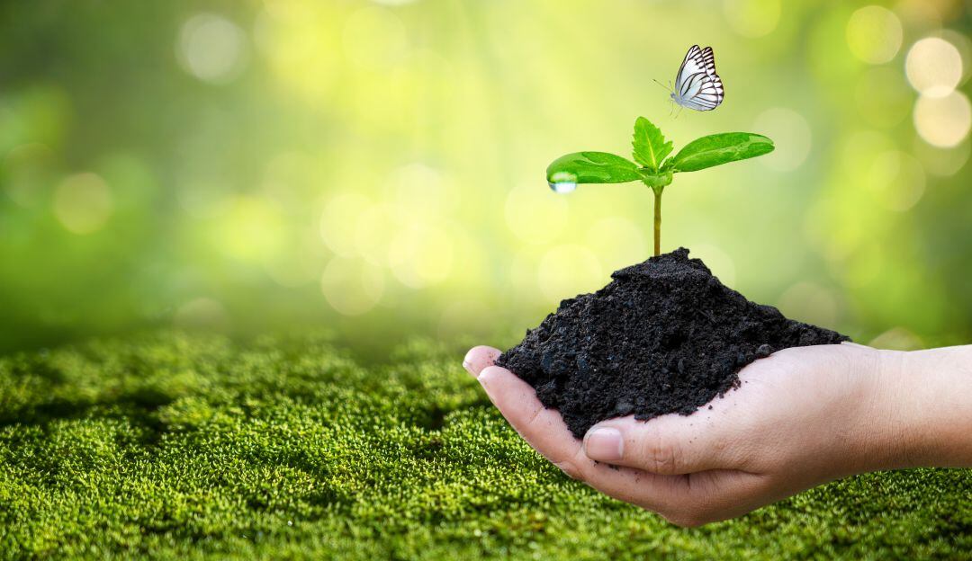 Día de la Tierra: ¿Cuándo y por qué se celebra?