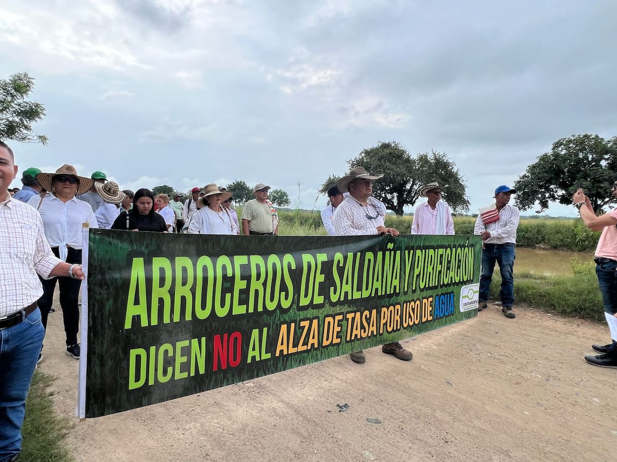 Paro Arrocero: cultivadores del Tolima exigen reajuste urgente en el precio del cereal al Gobierno