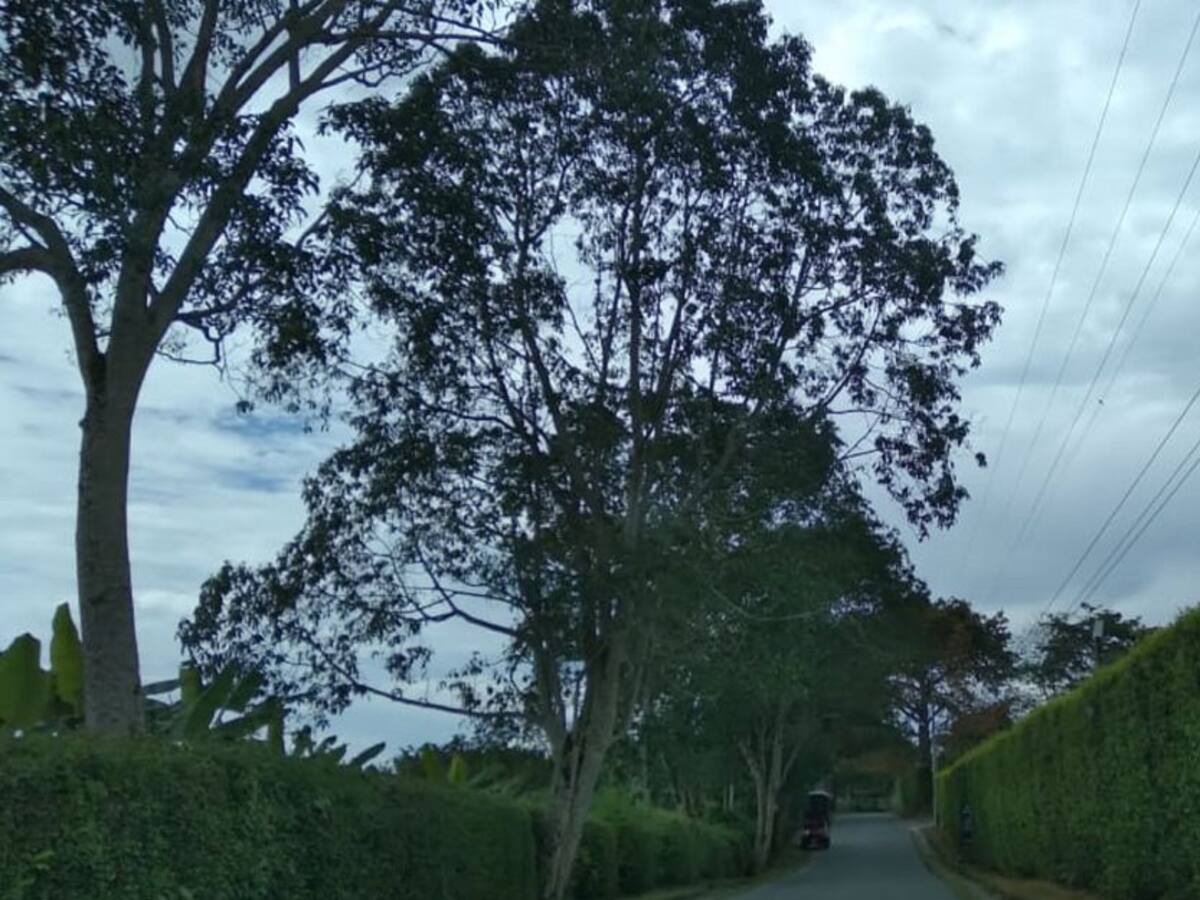 Martes 26 de octubre, las principales noticias de Armenia y Quindío