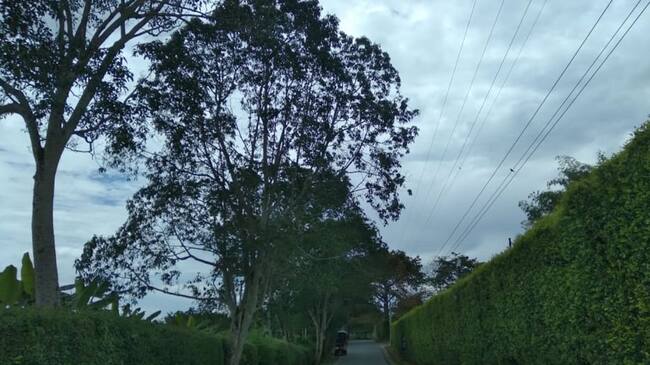 Vía Armenia-Pueblo Tapao