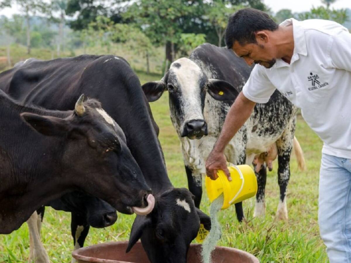 En Bolívar SENA capacita más de 11 mil personas en labores del campo
