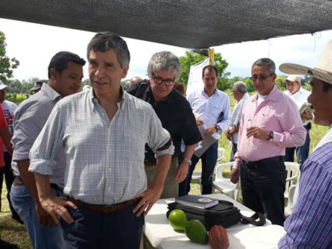“La Uribe será el primer municipio del país libre de cultivos de coca”: Pardo