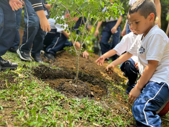 Se sembrarán más de 100 árboles en institución educativa del Escobero