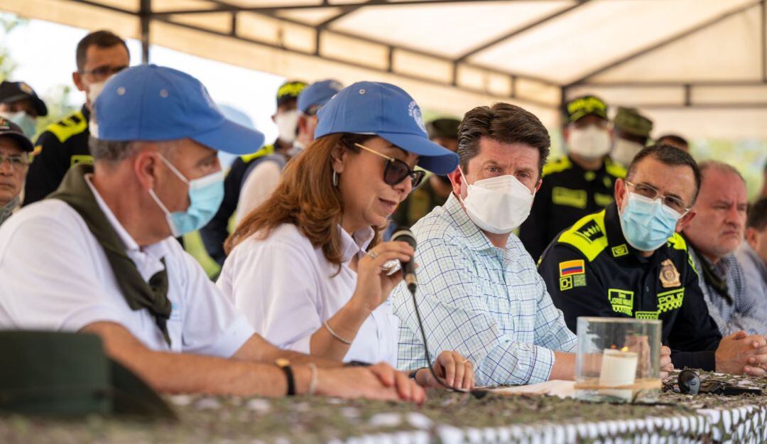 Verificación de la eliminación de cultivos ilicitos 