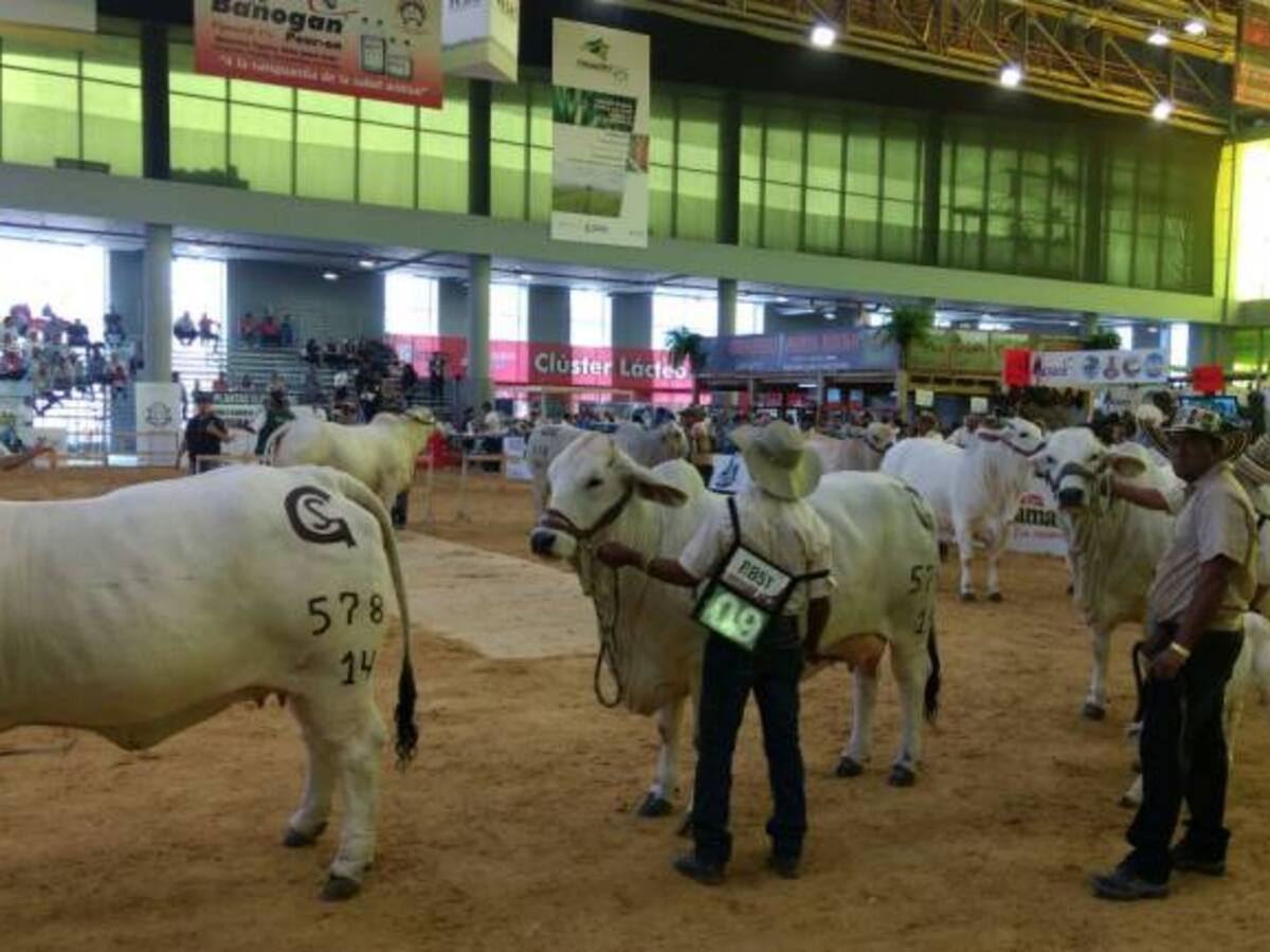 Premio Nobel de Paz es una respuesta a la disciplina y persistencia : Minagricultura