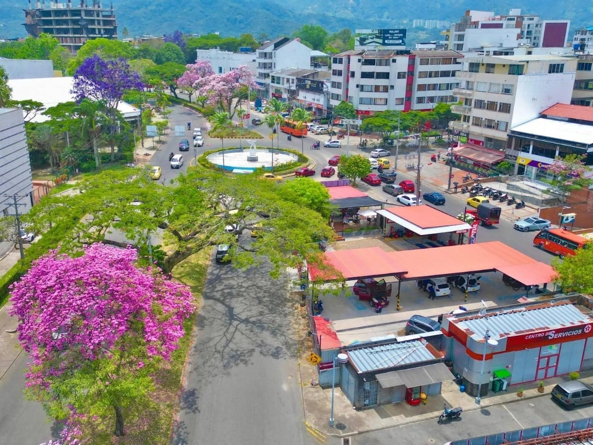 Estudio revela considerable déficit de árboles en Ibagué para capturar CO₂