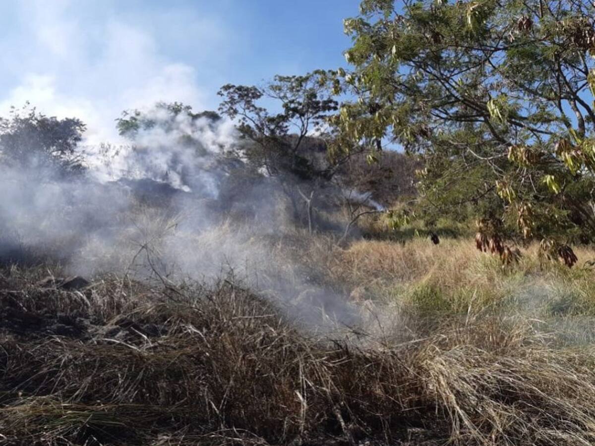 Aumentan en Cali incendios forestales provocados