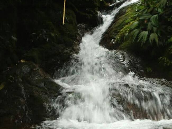 Ordenan retirar vertimentos al río Quindío para garantizar agua potable