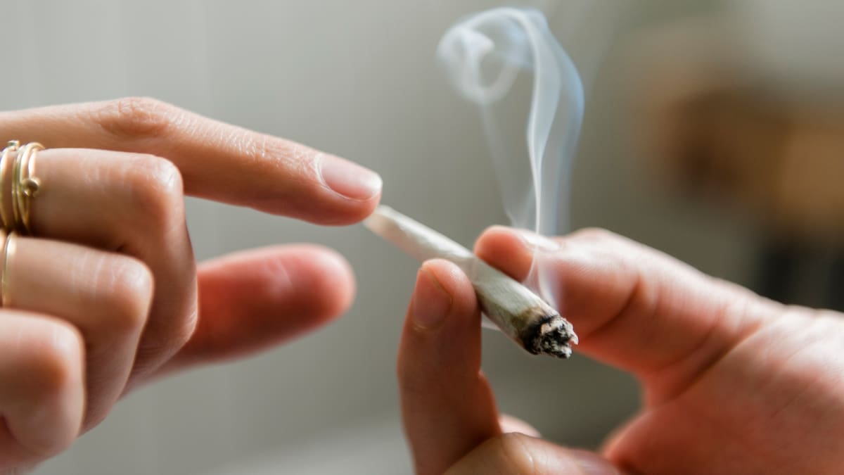 El número de consumidores de drogas aumentó un 23% en una década: ONU