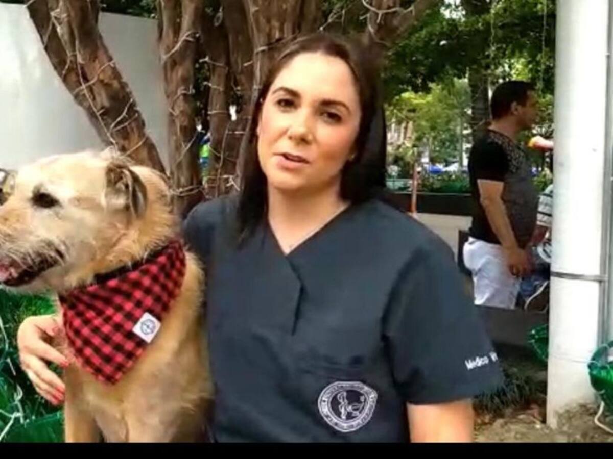 Que las comidas típicas de esta época no hagan parte de sus mascotas