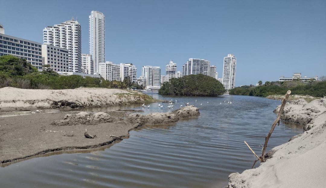 Actualmente el cuerpo de agua está cerrado y con problemas en la oxigenación
