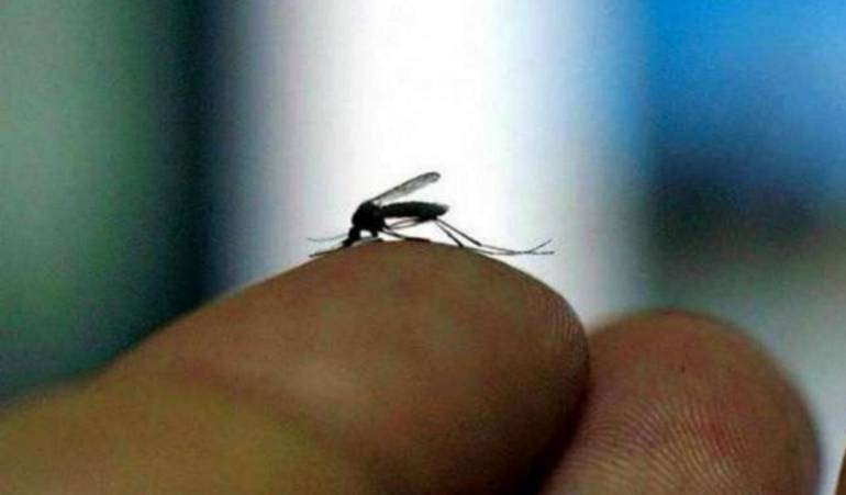 A la fecha en el Quindío se han reportado 10 casos sospechosos de Zika a la espera de confirmación del laboratorio.