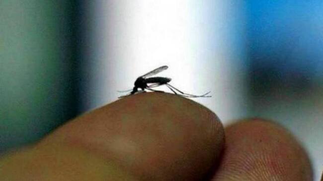 A la fecha en el Quindío se han reportado 10 casos sospechosos de Zika a la espera de confirmación del laboratorio.