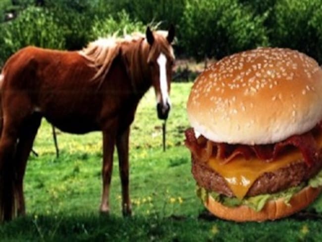¿De qué están hechas las hamburguesas?