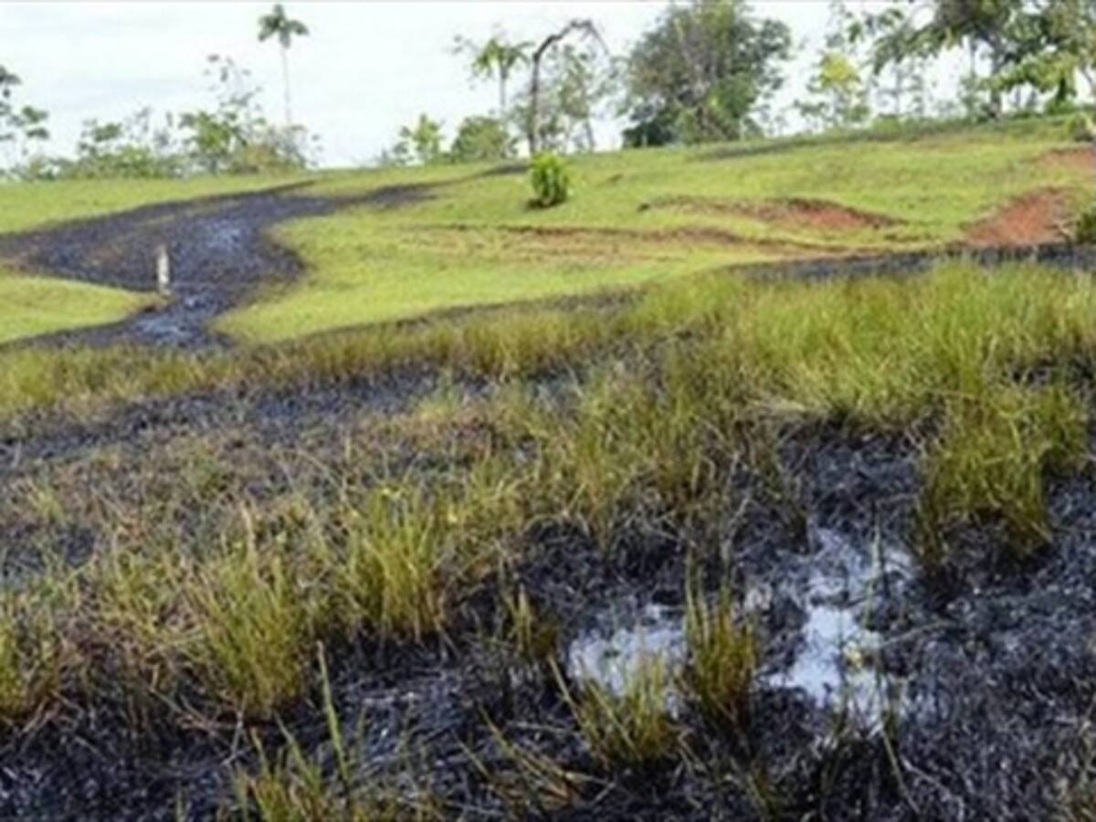 Muerte en el Putumayo; crisis ambiental y de orden público