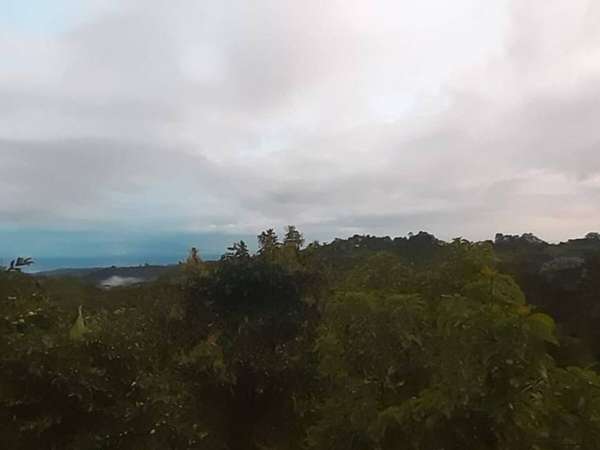 Jueves 23 de julio, las noticias más importantes de Armenia y el Quindío