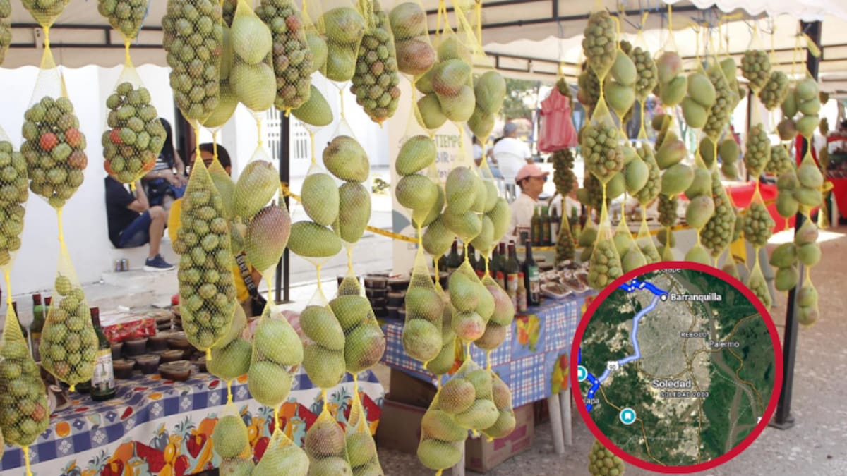 Tiempo que tarda en llegar de Barranquilla a Campeche, ruta y mejor época del año para visitarlo