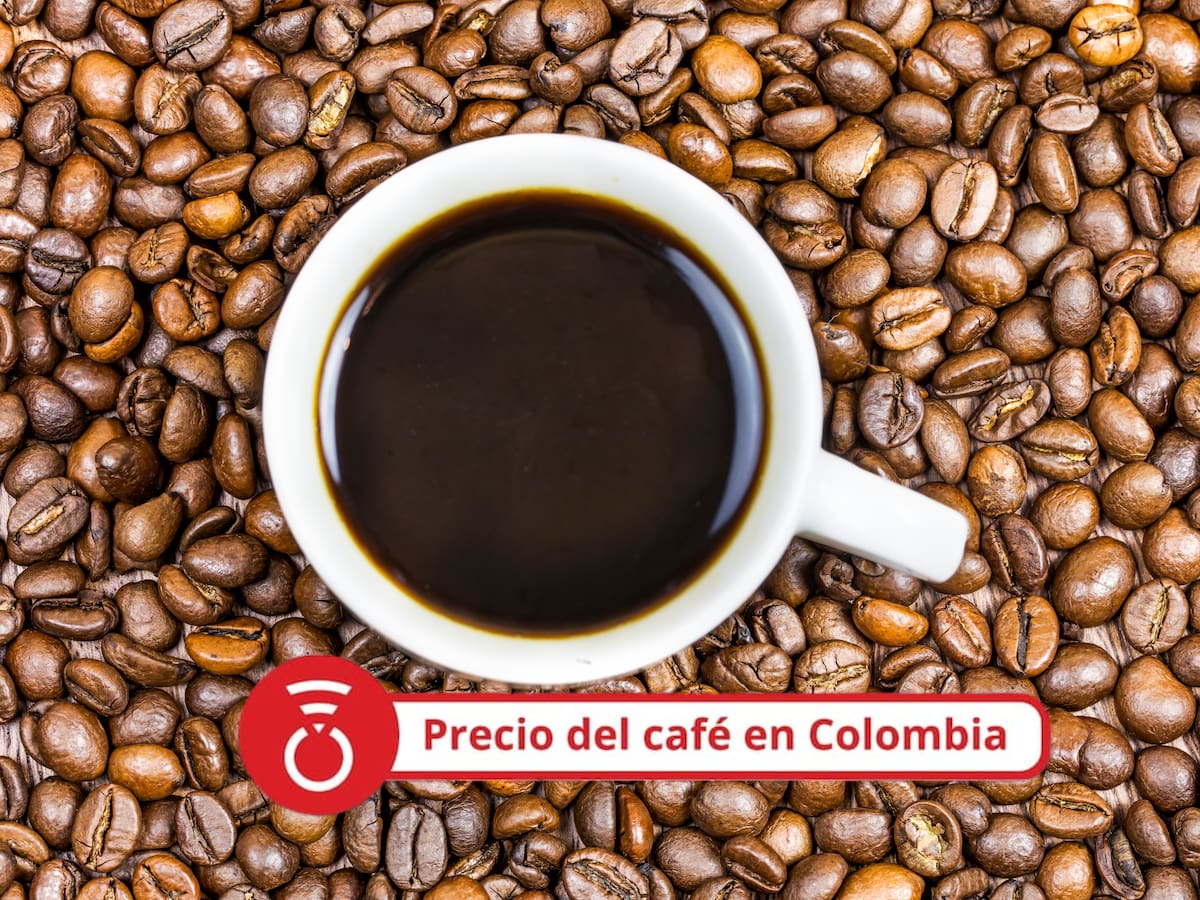 Precio del café HOY 20 de agosto: aumentó levemente el precio tras el último reporte