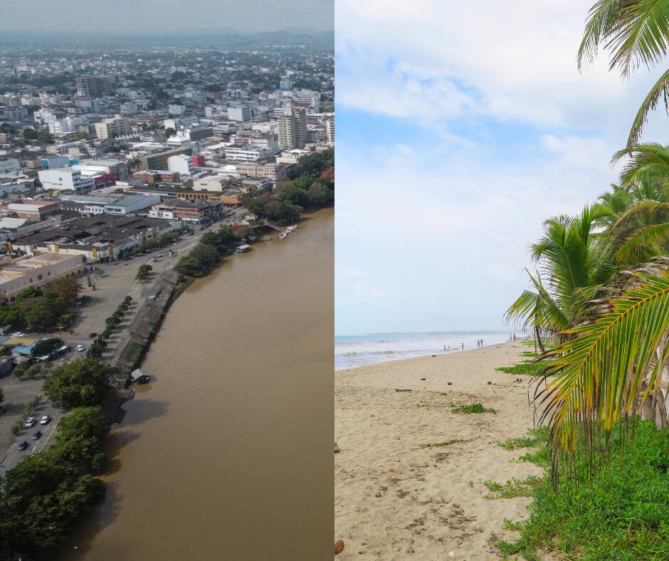 Montería y Palomino (Getty Images)