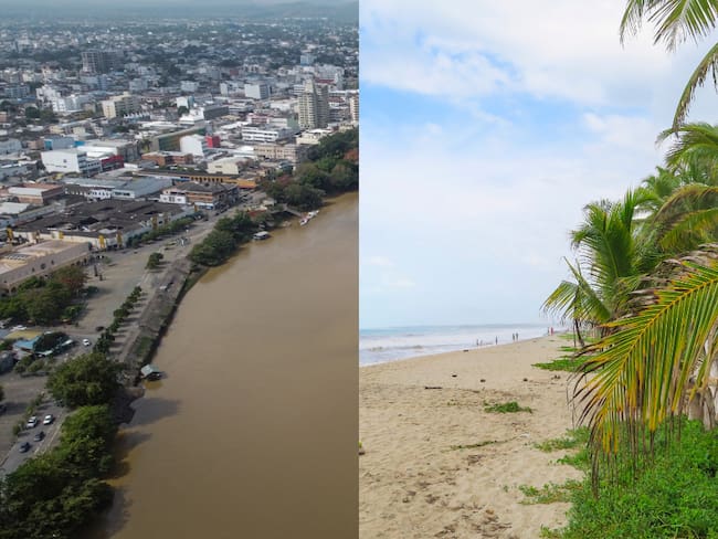 Montería y Palomino (Getty Images)