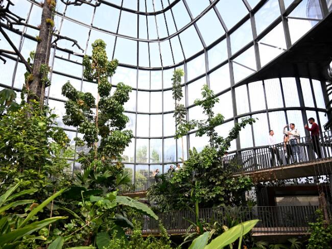 Imagen de referencia del Jardín Botánico de Bogotá|gettyimages
