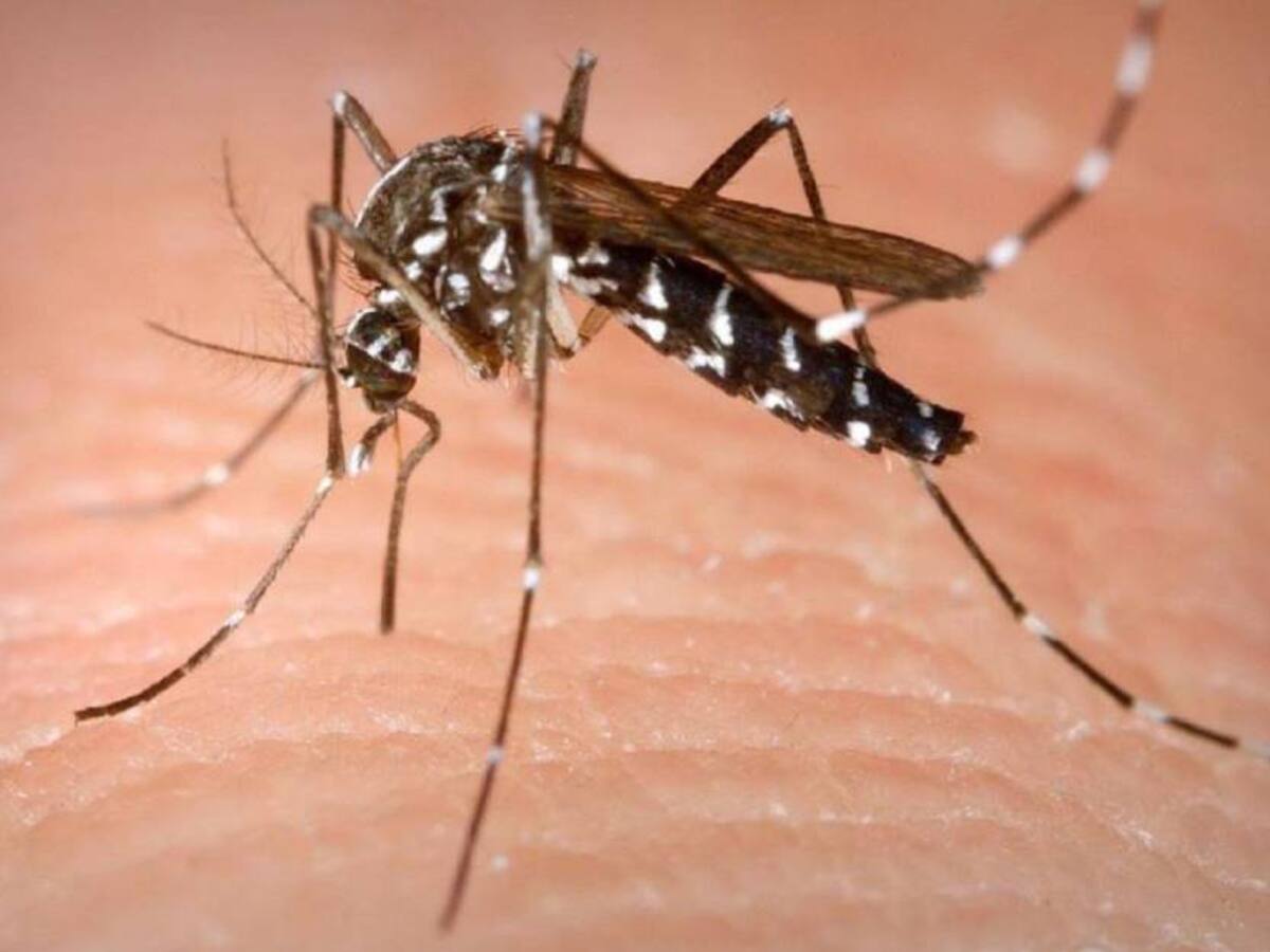 Alerta en Neiva por el elevado número de casos de dengue