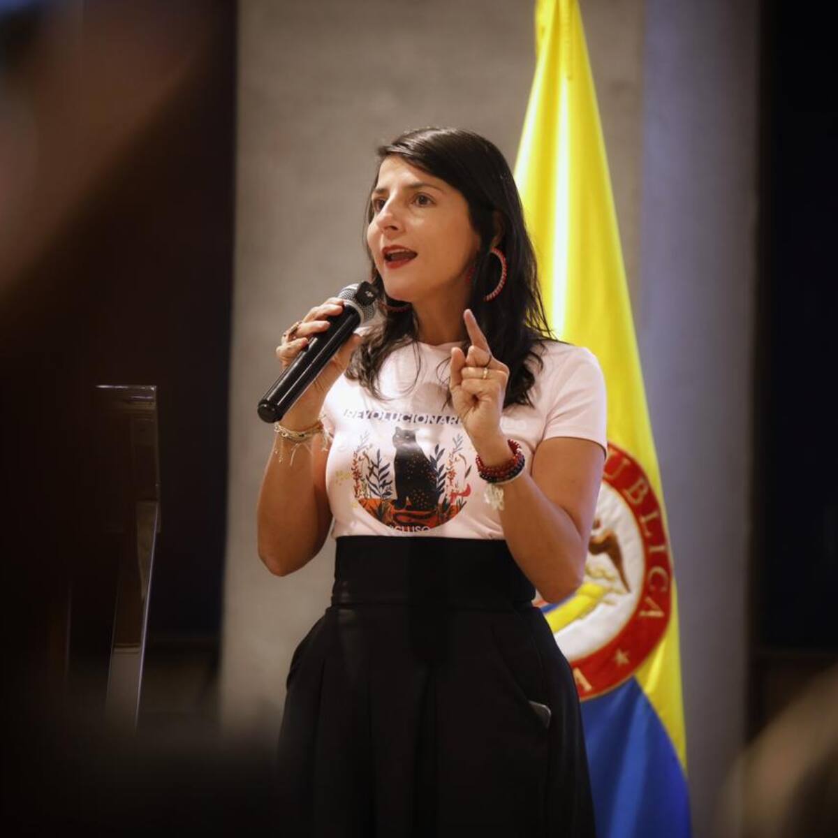 MinAmbiente pide al próximo Gobierno continuar decretos si no alcanzan a ser firmados