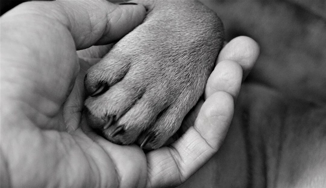 Un caso de maltrato nacional tuvo lugar en el Centro Comercial Andino