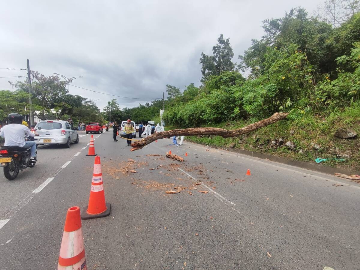 VIDEO: Caída de un árbol deja dos personas muertas en la vía Piedecuesta a Bucaramanga
